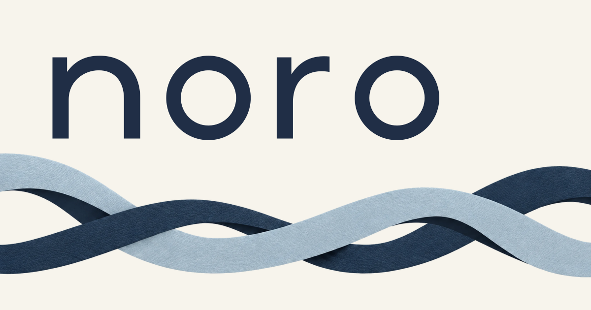 Social sharing: noro wordmark above woven ribbons on cloth white